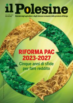 Cover Il Polesine 1 2 2023