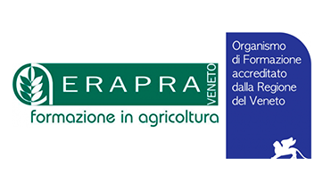 Formazione e Consulenza